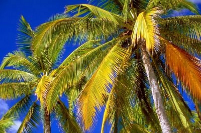 Costa Rica Beach 2
