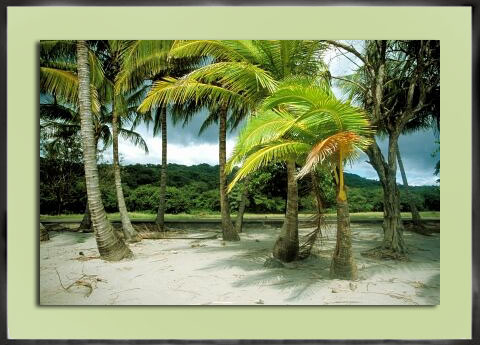 Costa Rica Beach 1