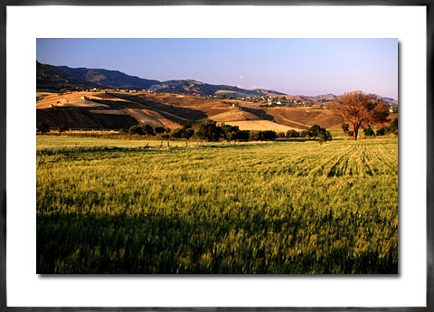 Sizilien-Bild fehlt!