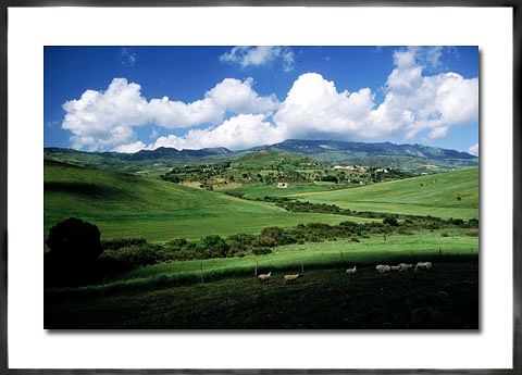 Sizilien-Bild fehlt!